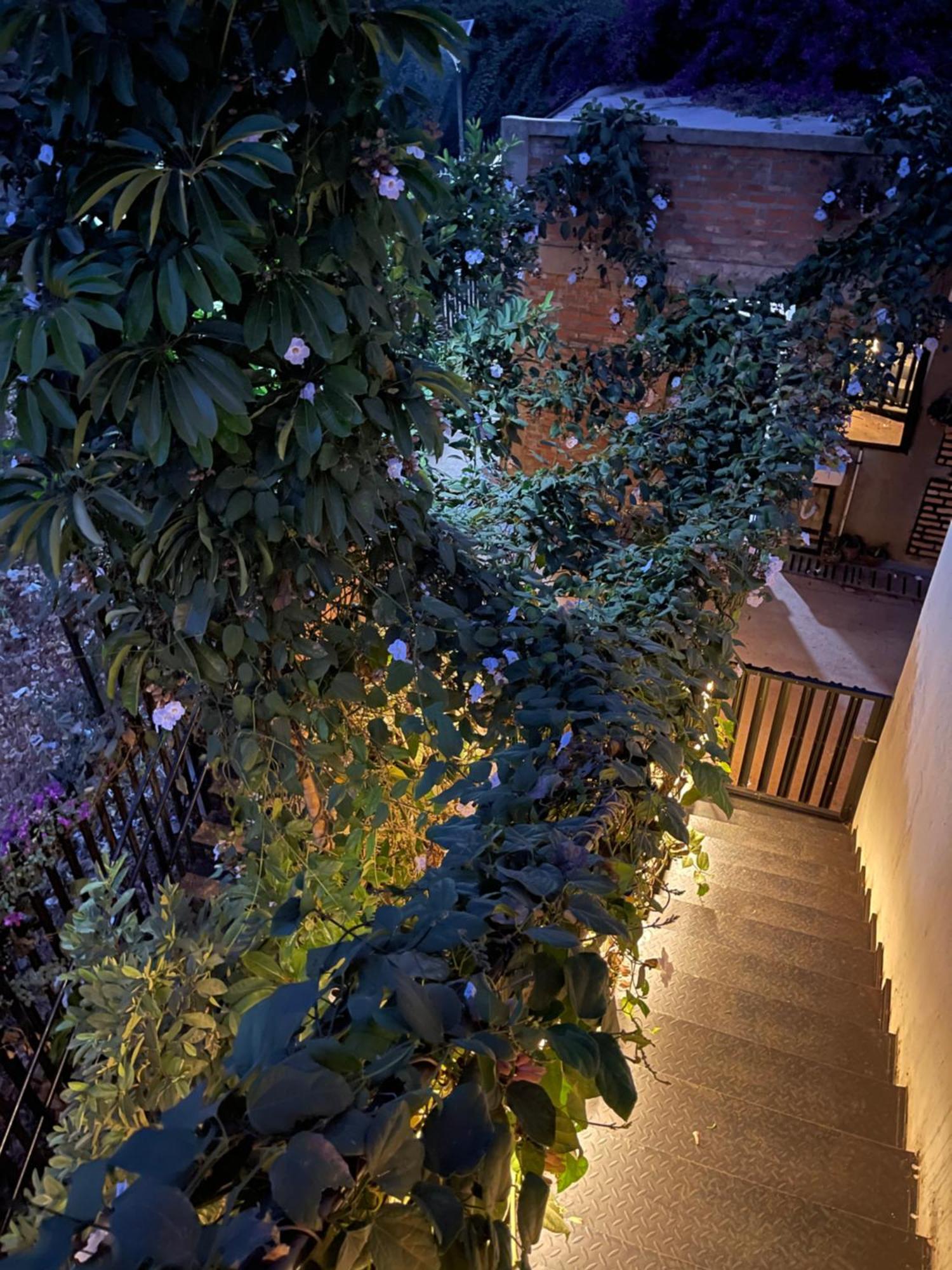 Eagle View Lodge - คิกาลี ภายนอก รูปภาพ